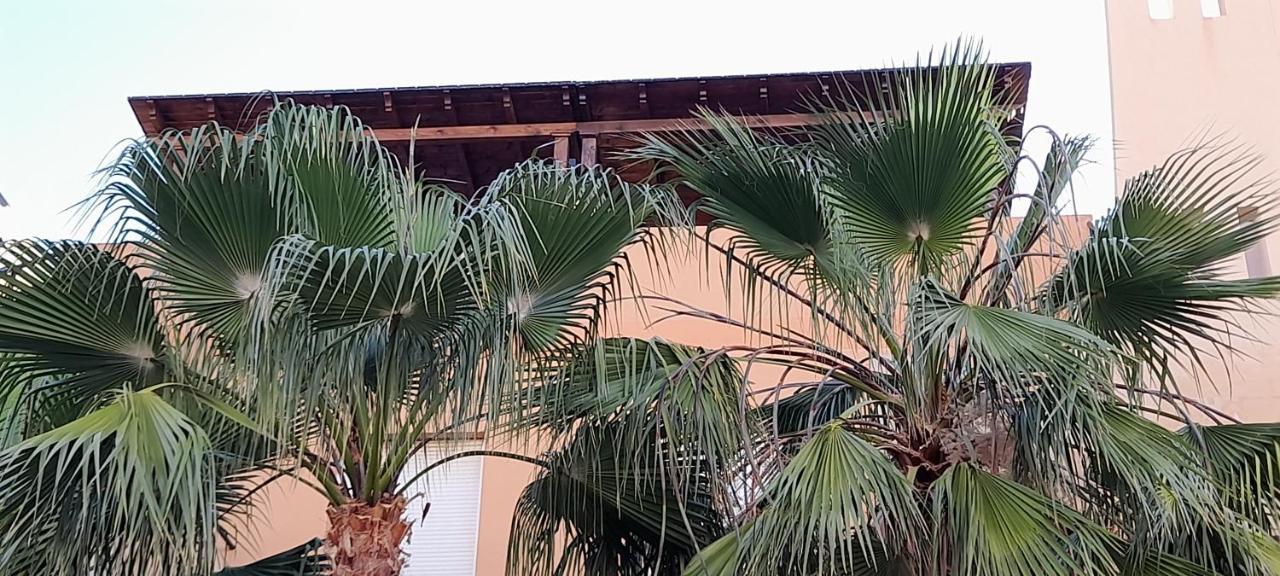 Atico Paraiso Con Piscina Privada